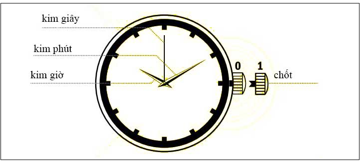 Hướng dẫn chỉnh ngày giờ cho đồng hồ 2 kim, 3 kim