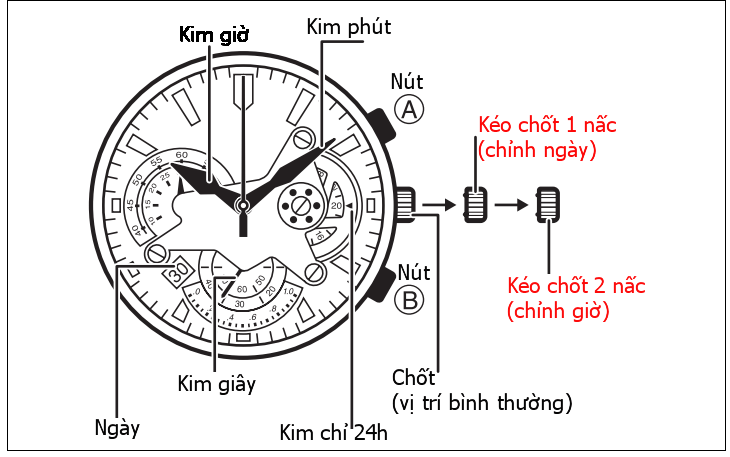 Hướng dẫn chỉnh ngày giờ cho đồng hồ 6 kim 1 lịch (Chronograph)