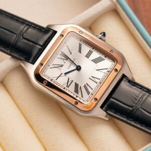 Cartier Santos Dumont CRW2SA0011 Two Tone Silver Dial