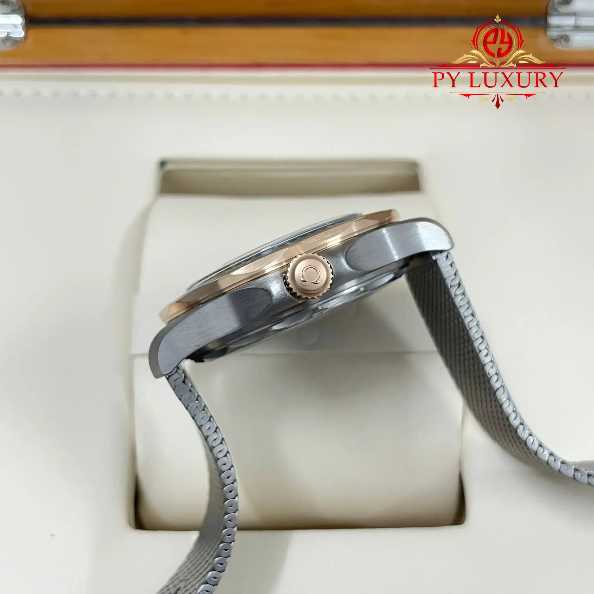 Omega Seamaster Diver 300M Bronze Gold on Titanium Sandblasted Green Dial - 1