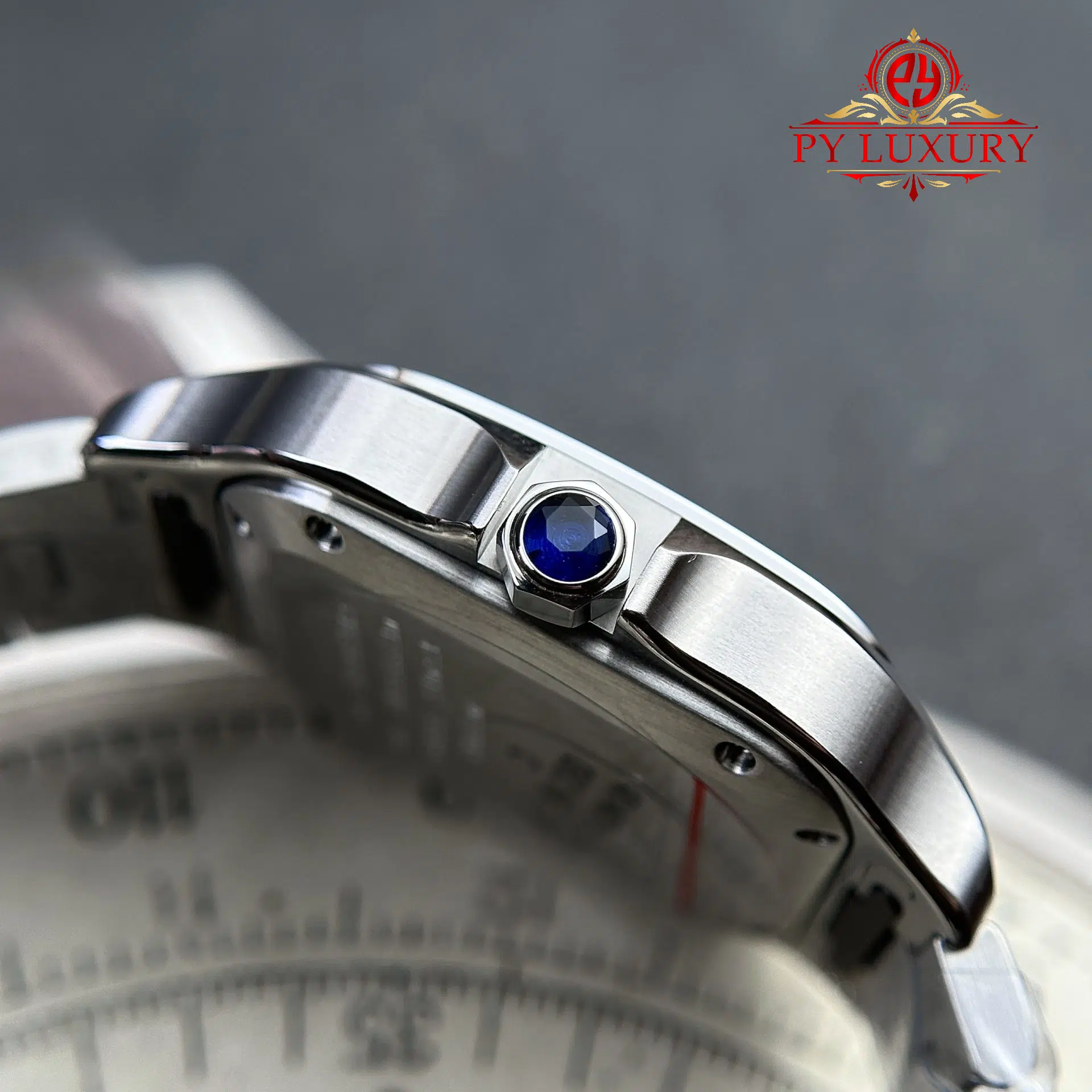 Cartier Santos Medium Model WSSA0061 Green Dial - 5